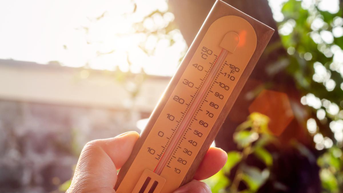 cod-galben-de-canicula-in-opt-judete--pana-vineri--care-sunt-zonele-vizate_00315900