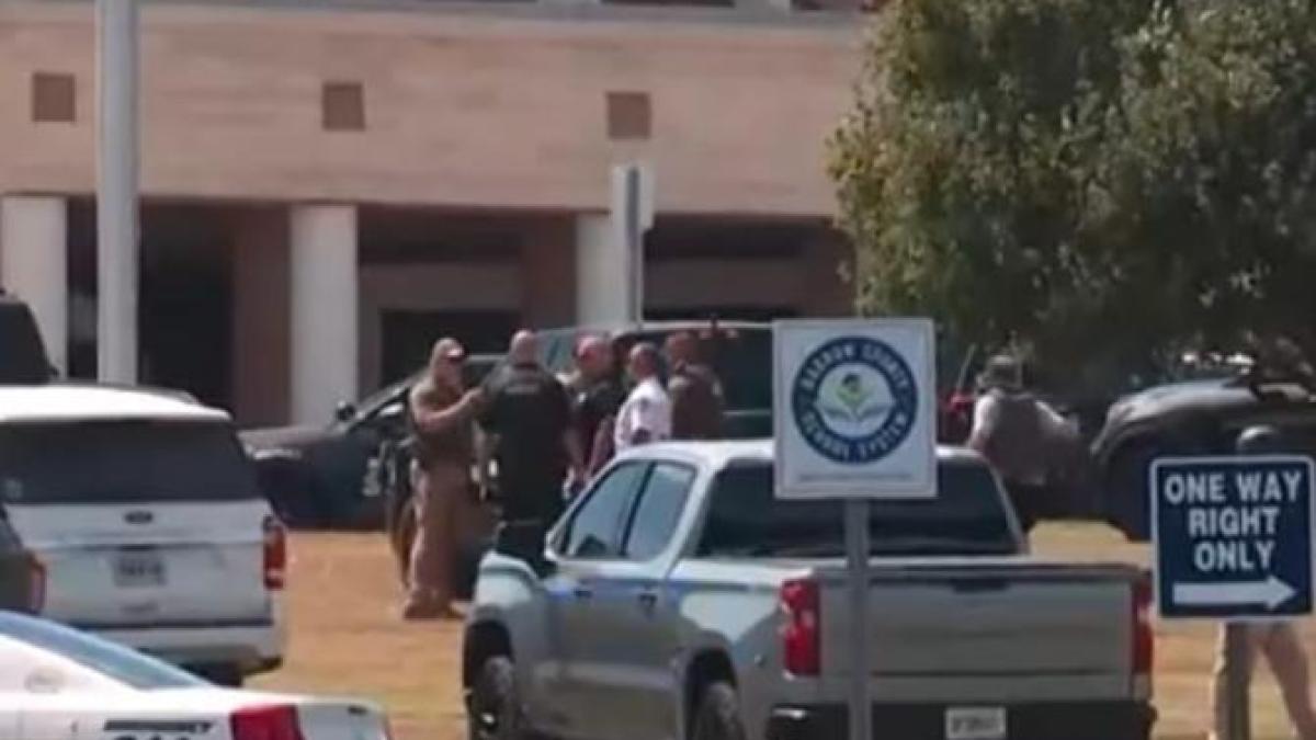 cum-au-aratat-ultimele-clipe-din-viata-cristinei-irimie_50447000