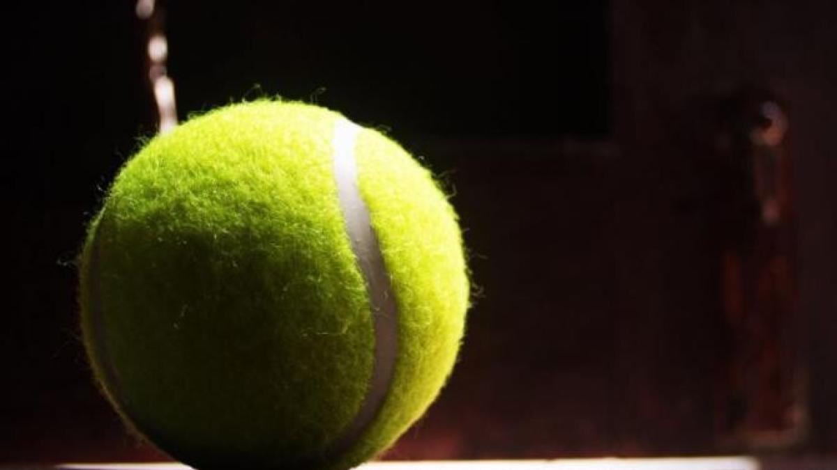 luca-preda--calificat-in-semifinalele-de-dublu-la-turneul-us-open_48639500