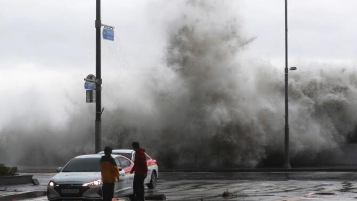 taifun-coreea_22586700