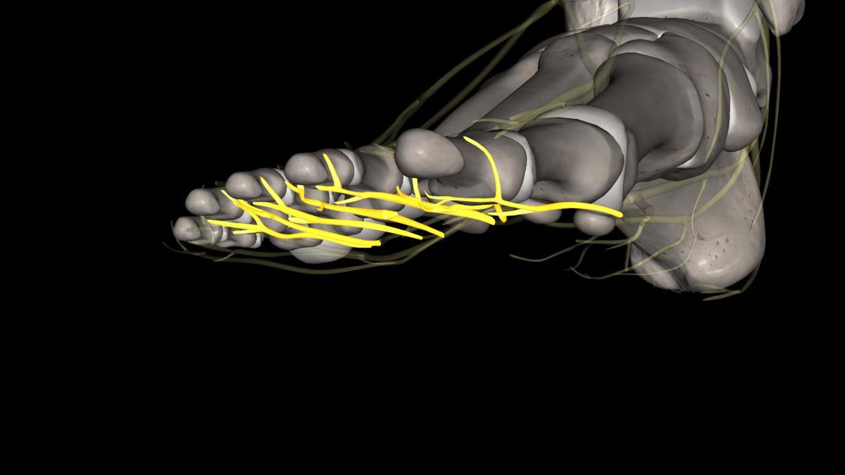 primul-picior-robotic--conceput-de-elvetieni--elementul-inedit-folosit-de-cercetatori_53618000