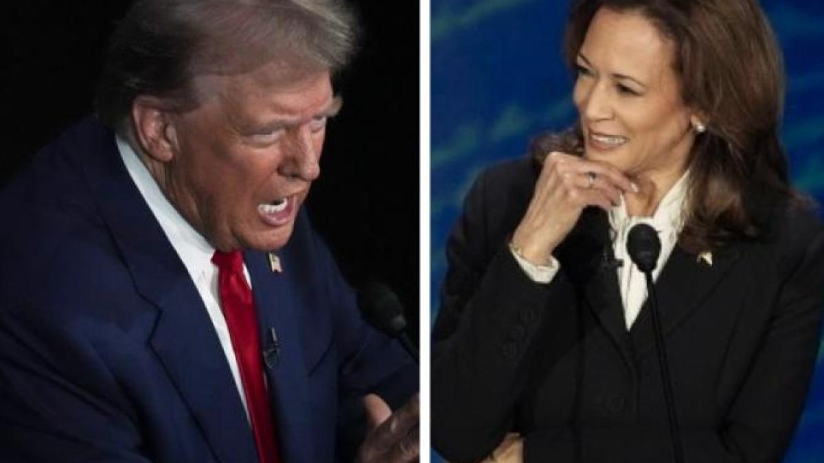 trump-harris_44796300