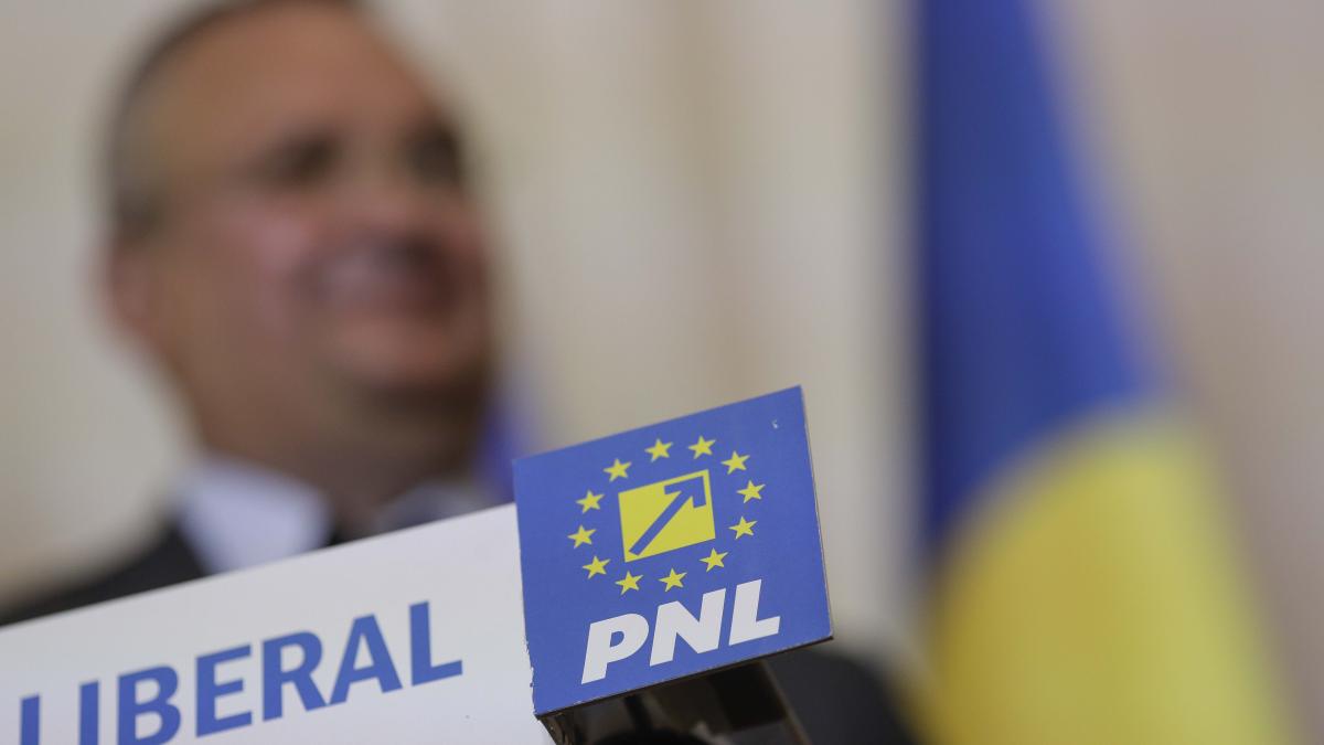 instant_declaratii_psd_pnl_alegeri_2024_set_2_04_inquam_photos_octav_ganea_95596400