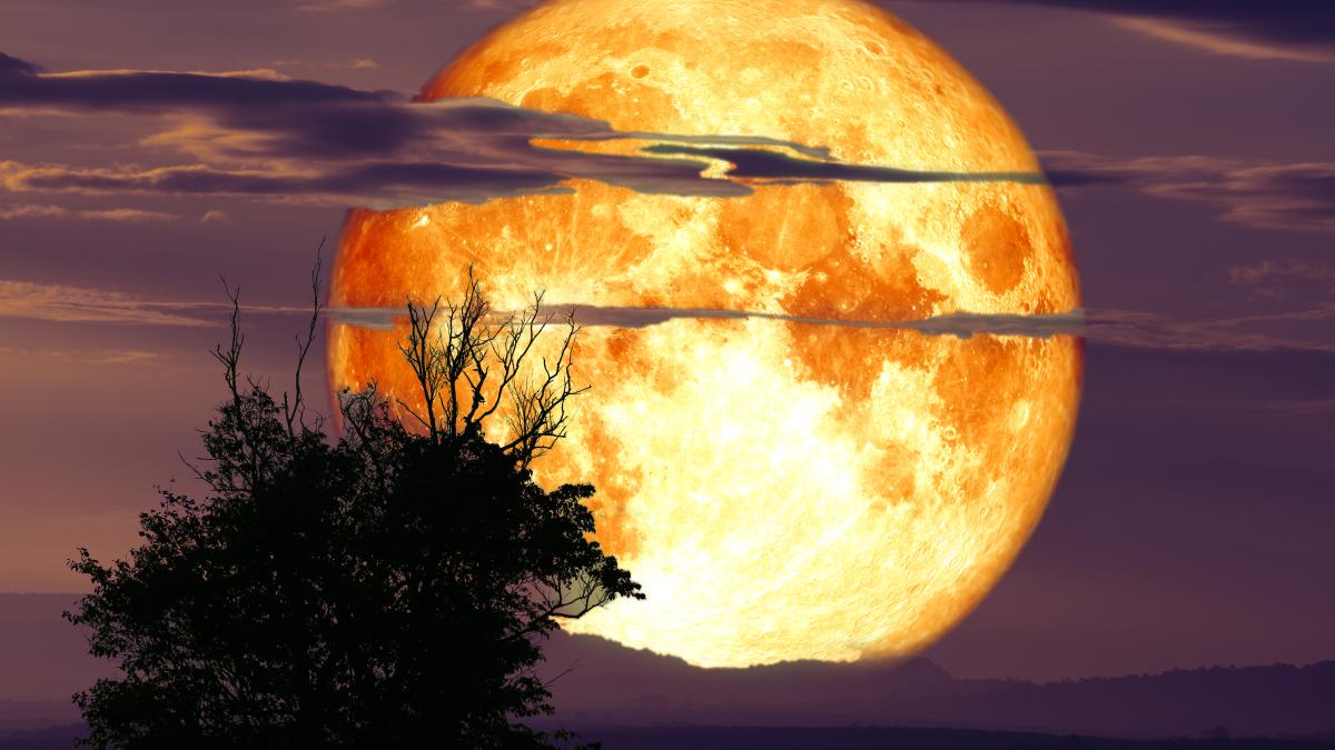 luna-recoltei_14277000