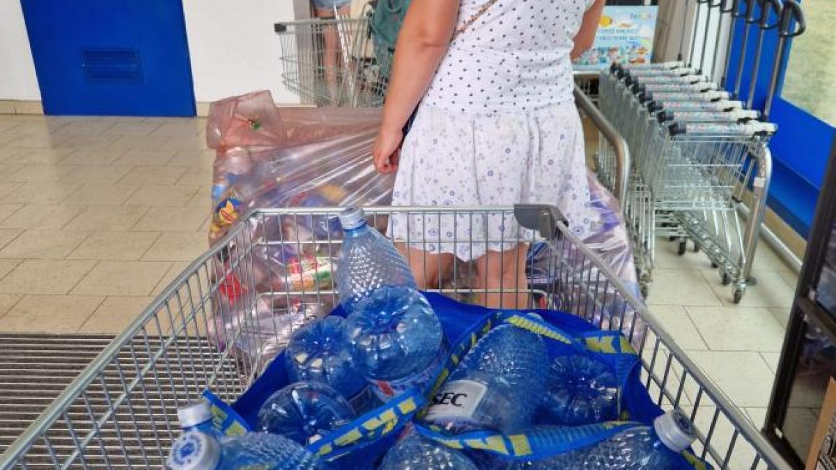 reciclare-peturi_46252800