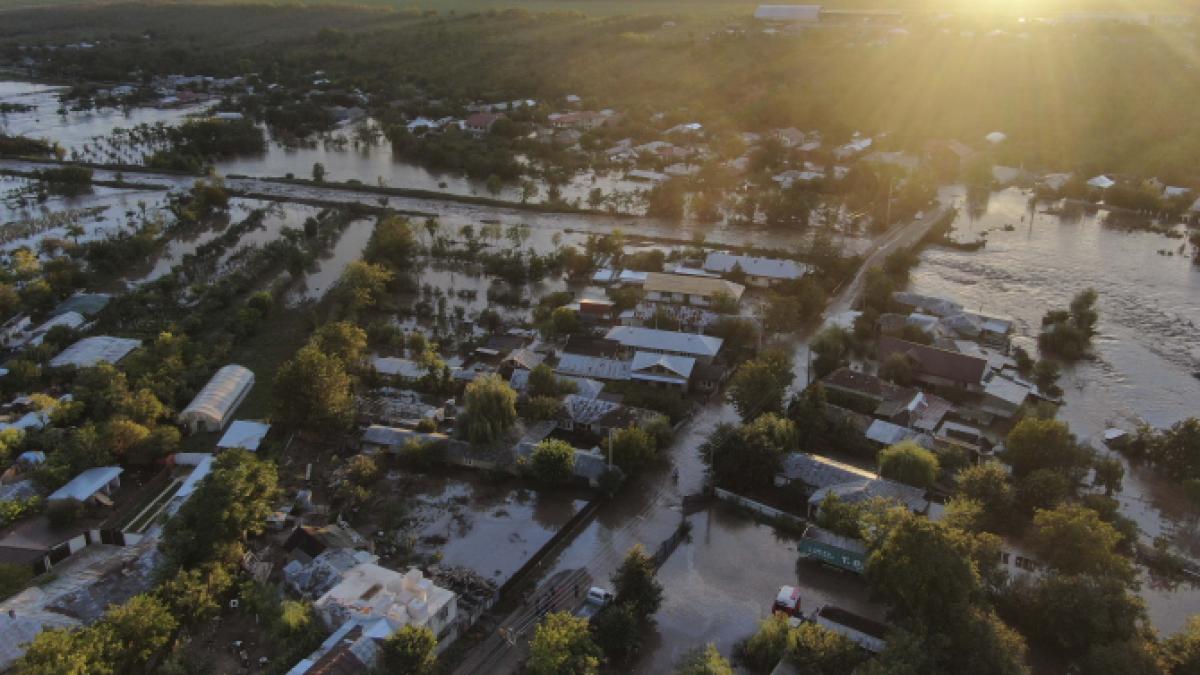 apele-romane-diana-tache_71406200