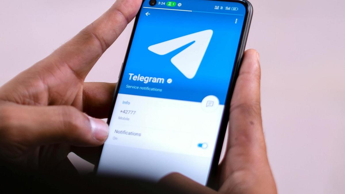 telegram-pexels_25344800