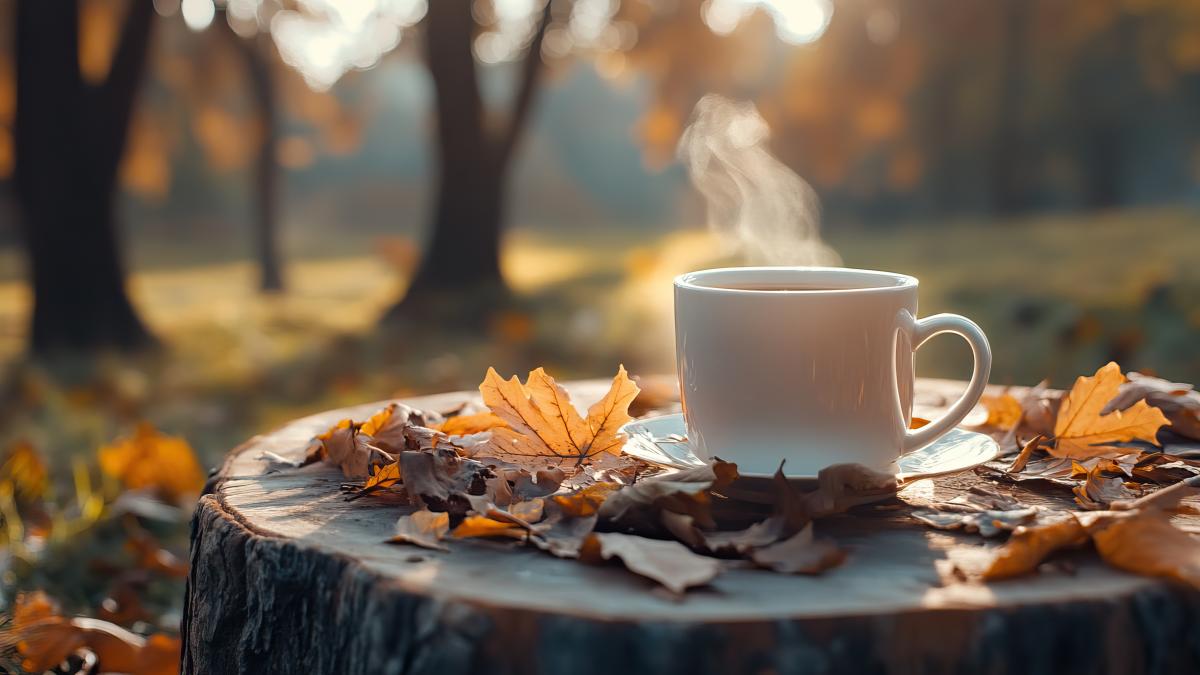 calendar-crestin-ortodox--sarbatoare-21-septembrie-2024_89103600