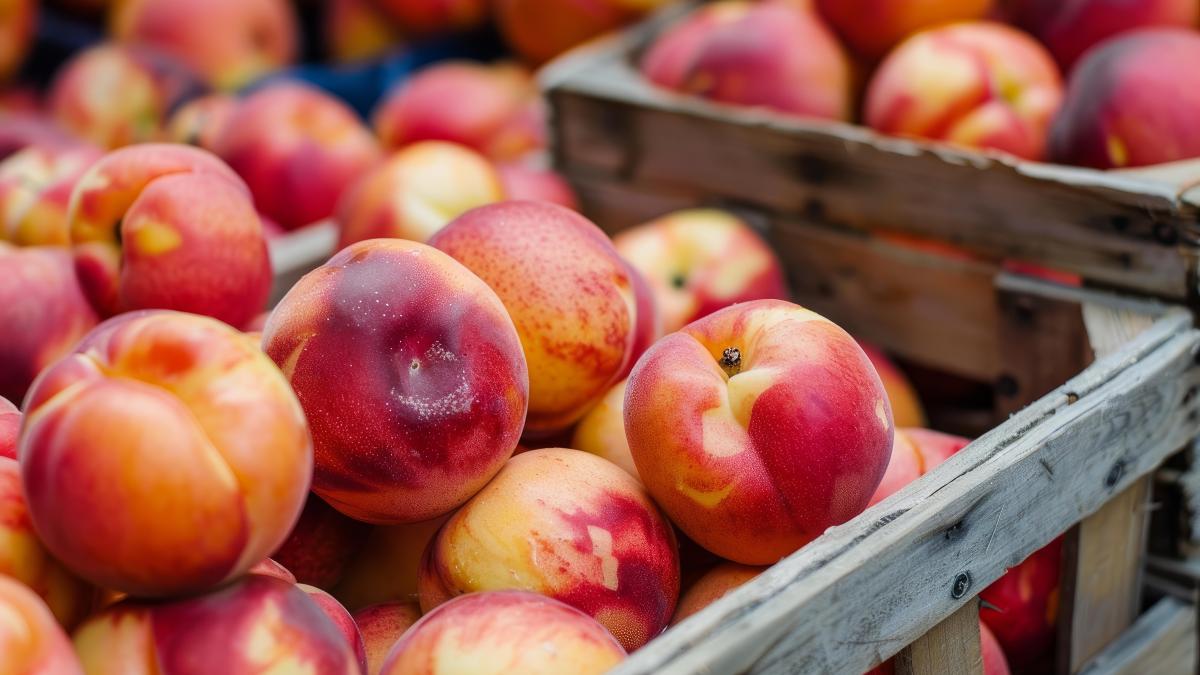 nectarine-importante-din-turcia--pline-de-pesticide--retrase-de-anpc_31389300
