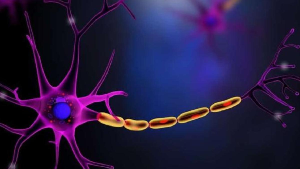 explorarea-mecanismelor-peptidei-pe-22-28_50233400