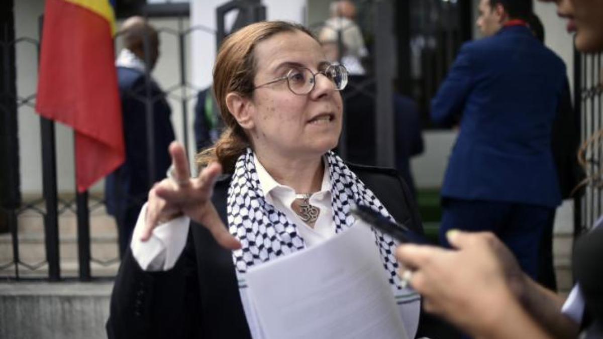 rana-mokaddem_52263600