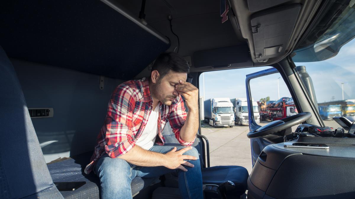 titi-aur-soferi-profesionisti-in-cap_89100700