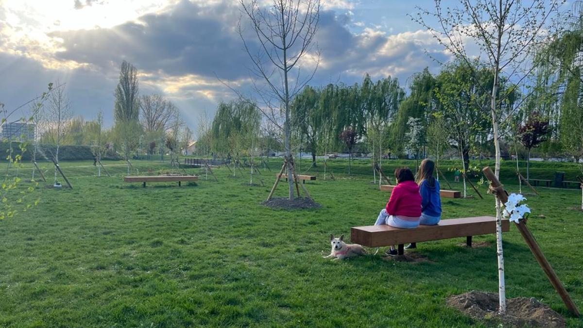 plantati-in-amintire_45320300