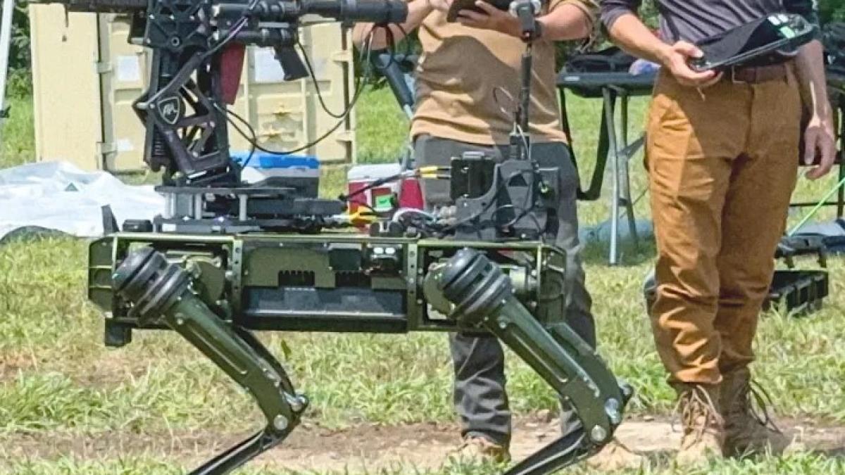 armata-sua-testeaza-in-orientul-mijlociu-cainele-robot-lone-wolf--echipat-cu-o-pusca-controlata-de-inteligenta-artificiala_82529700