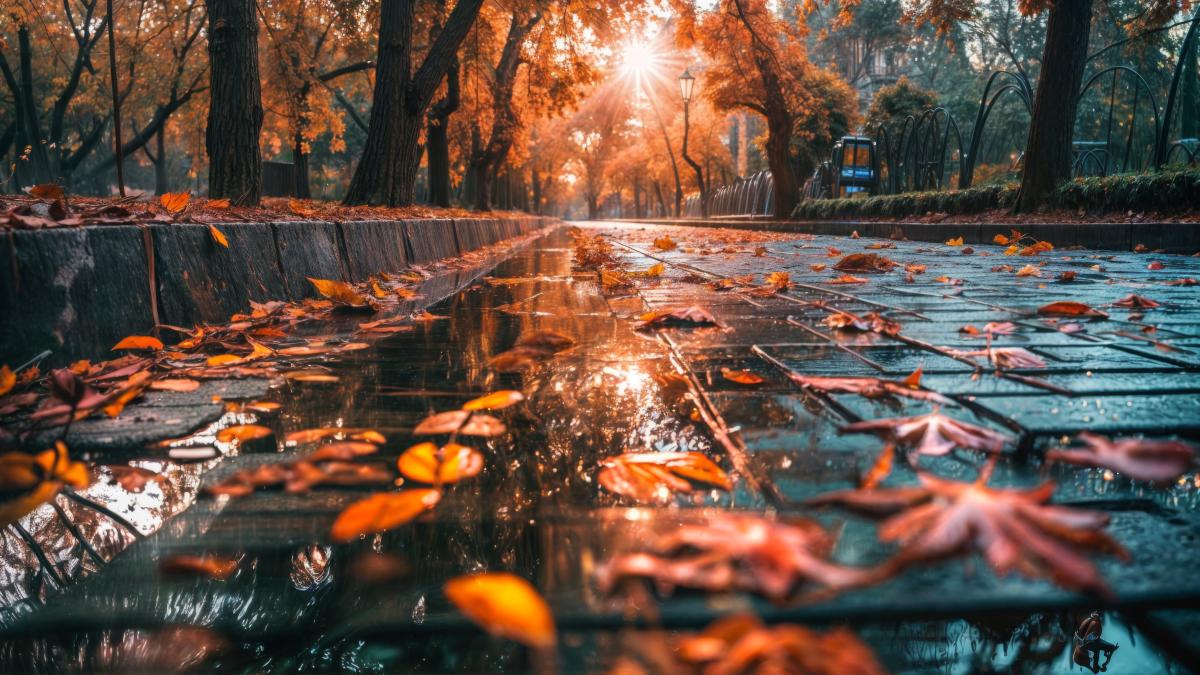 cum-va-fi-vremea-pana-pe-14-octombrie--anm--prognoza-meteo_29629600