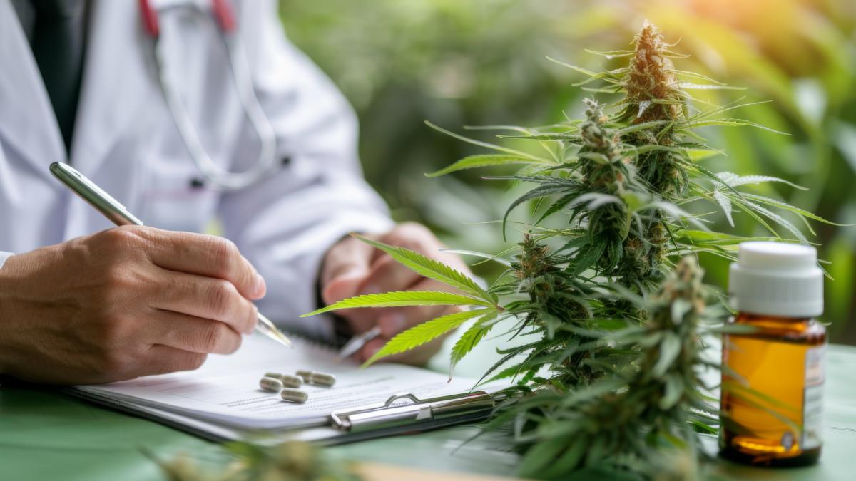 cannabis-medicinal-medical_85172800