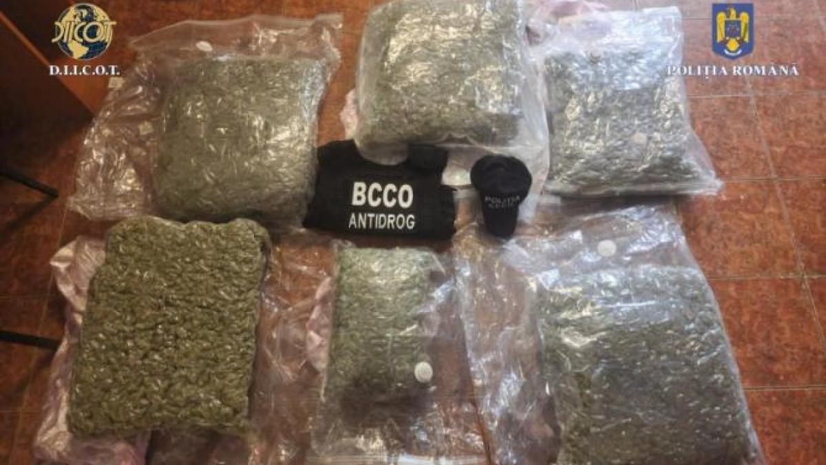 droguri_captura_politie_22566500