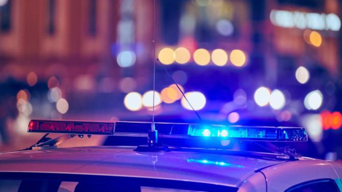 minor-de-10-ani-dat-disparut--in-dambovita--cautat-de-politisti--foto-1_14056300