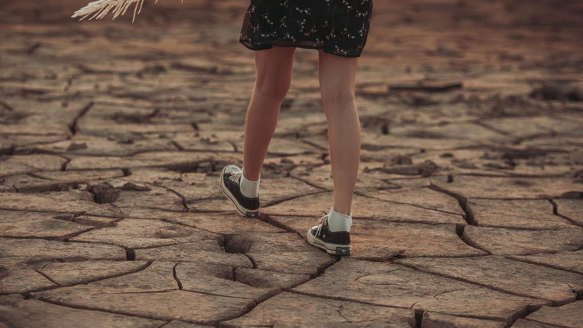 seceta-statiune_15985200