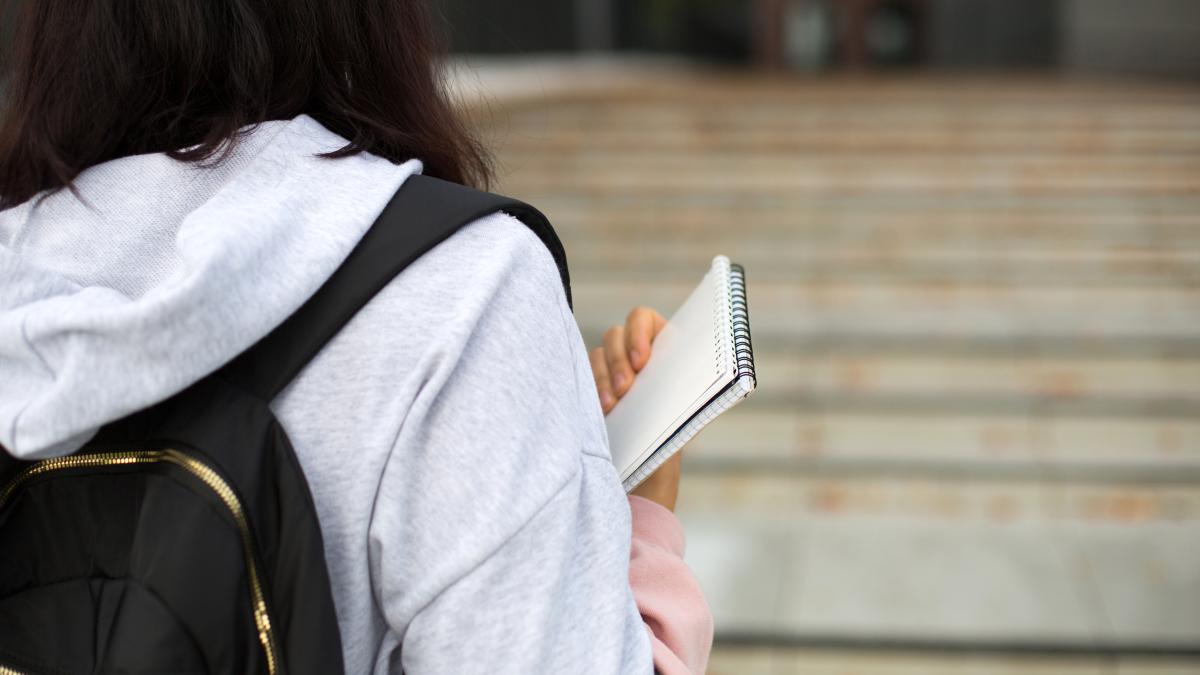 ce sunt universitatile fara ziduri pentru studentii de azi prof univ dr romita iucu detalii inedite video