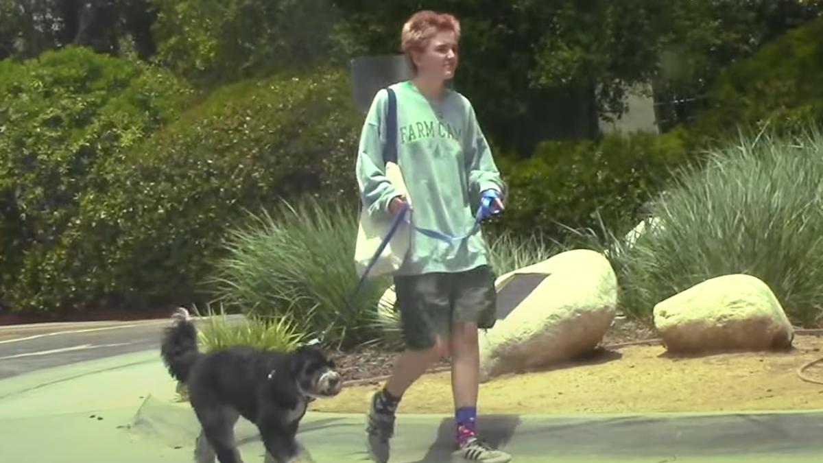 fin-affleck-la-plimbare_37051700