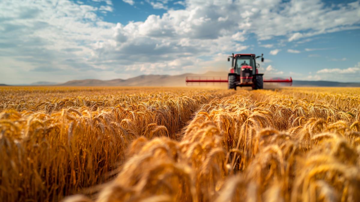 tractor-agricultura-2_41339400