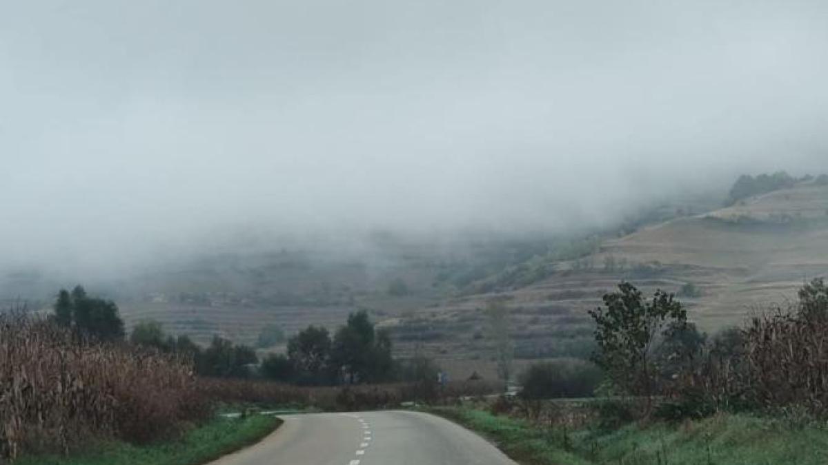 cod-galben-de-ceata-densa--care-sunt-zonele-vizate_49518700