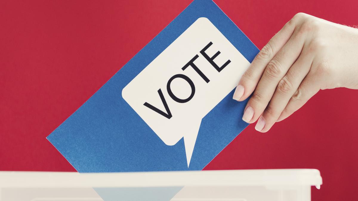 tara-cu-un-numar-record-de-femei-care-candideaza-la-alegerile-legislative_35035300