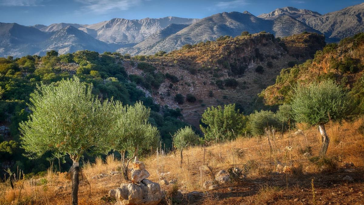 grecia-migranti_59112300