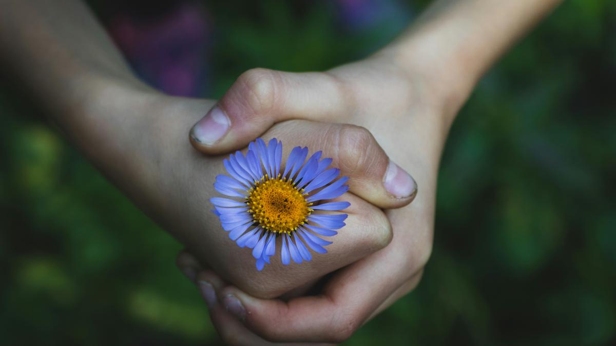 floare-copil_38210700