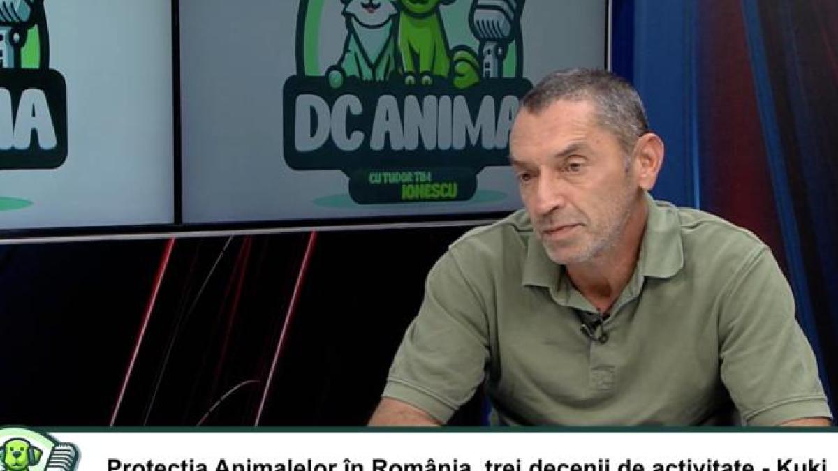 kuki-barbuceanu_02008900