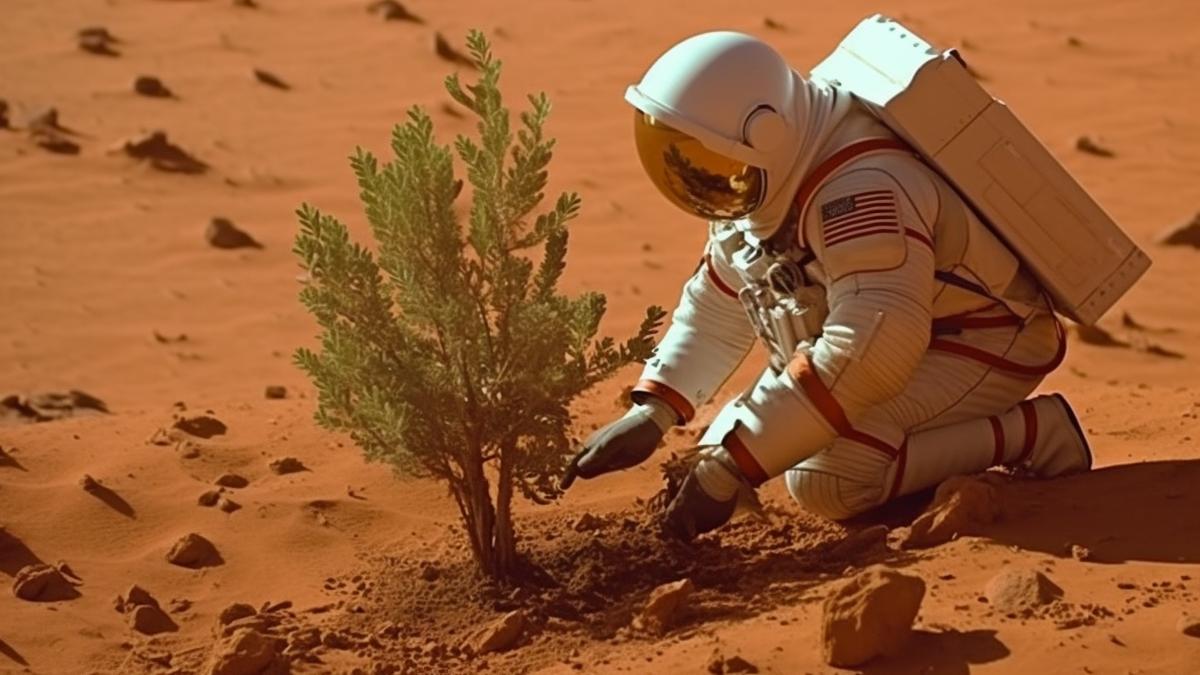 fotosinteza-pe-marte_77852700