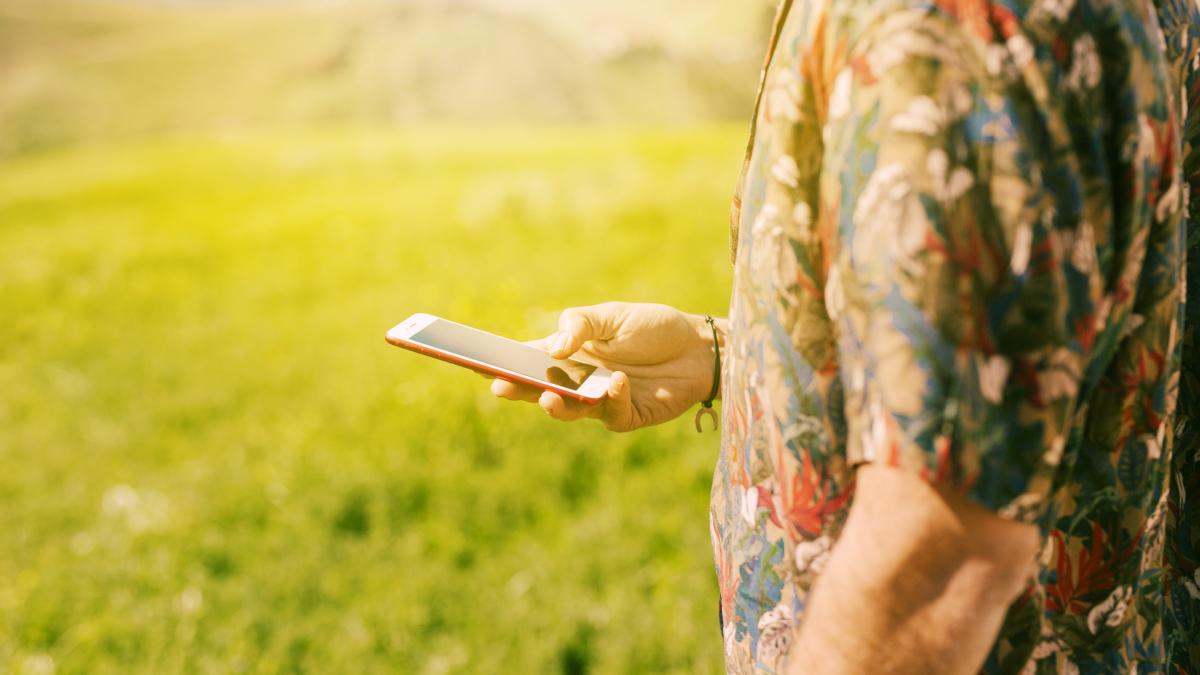 loc-romania-turisti-inchidere-telefaone_31404800