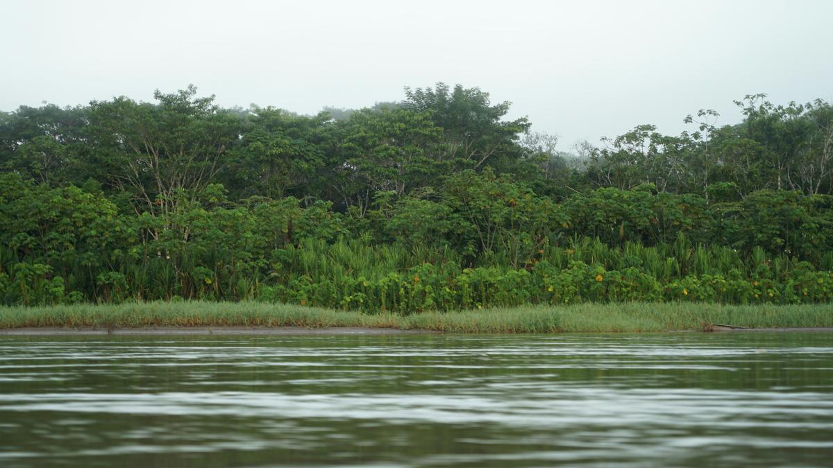 asezare-coloniala-pierduta-amazonia_89880800