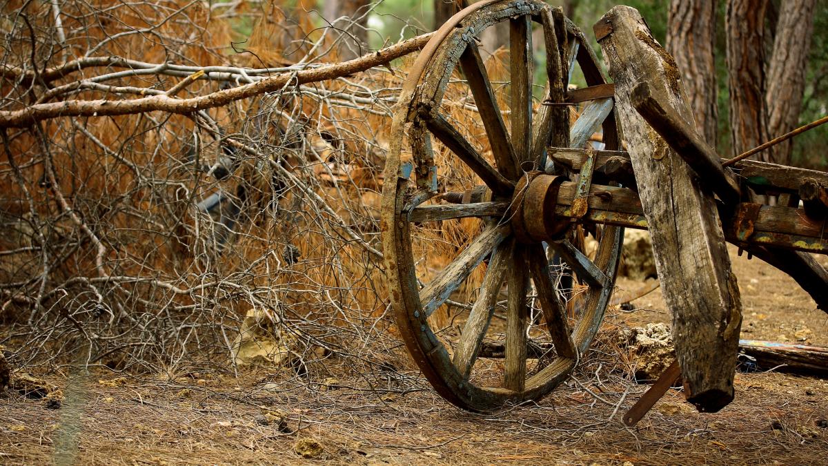 old-carriage-roata_75329200