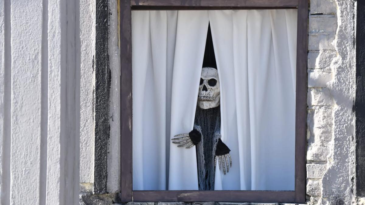 west-side-hallo-fest--cel-mai-mare-festival-de-halloween--daca-a-rezolvat-si-problema-cainilor-din-zona-_81296900