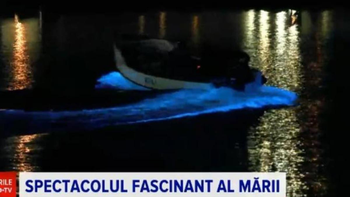 alge-mare-fenomen_82345900