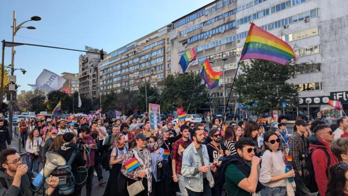 sute-de-oameni-au-participat-la-mitingul-pro-parteneriat-civil-din-bucuresti-5_82050300