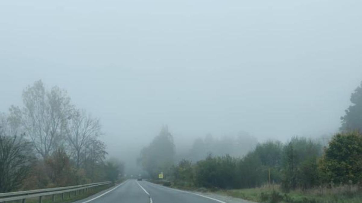 cod-galben-de-ceata--luni-dimineata--vizibilitatea-va-fi-sub-50-de-metri_51957000