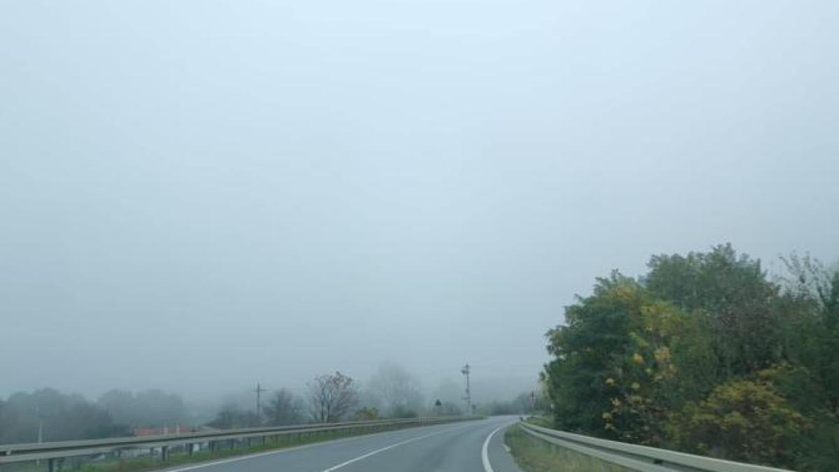 cod-galben-de-ceata-in-peste-10-judete--vizibilitate-redusa-sub-50-m--inclusiv-pe-autostrada-a2_64471200