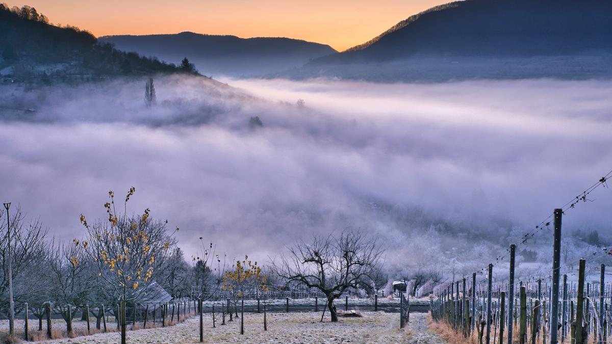 iarna-vreme-elena-mateescu_87503100