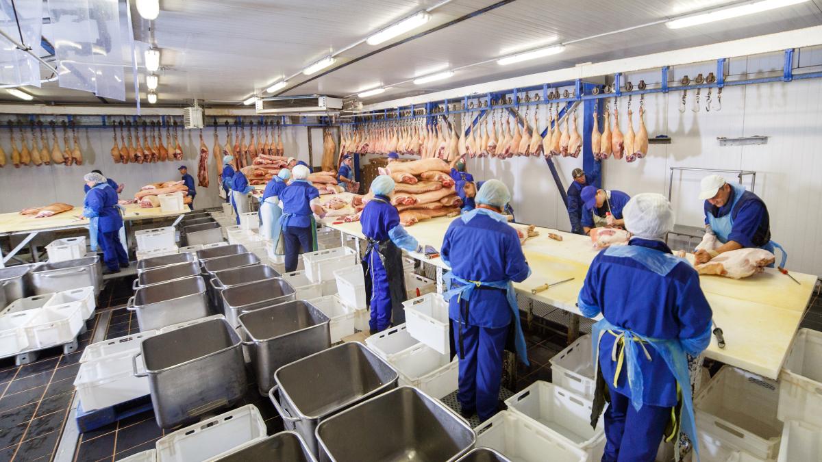 procesare-carne_87119700