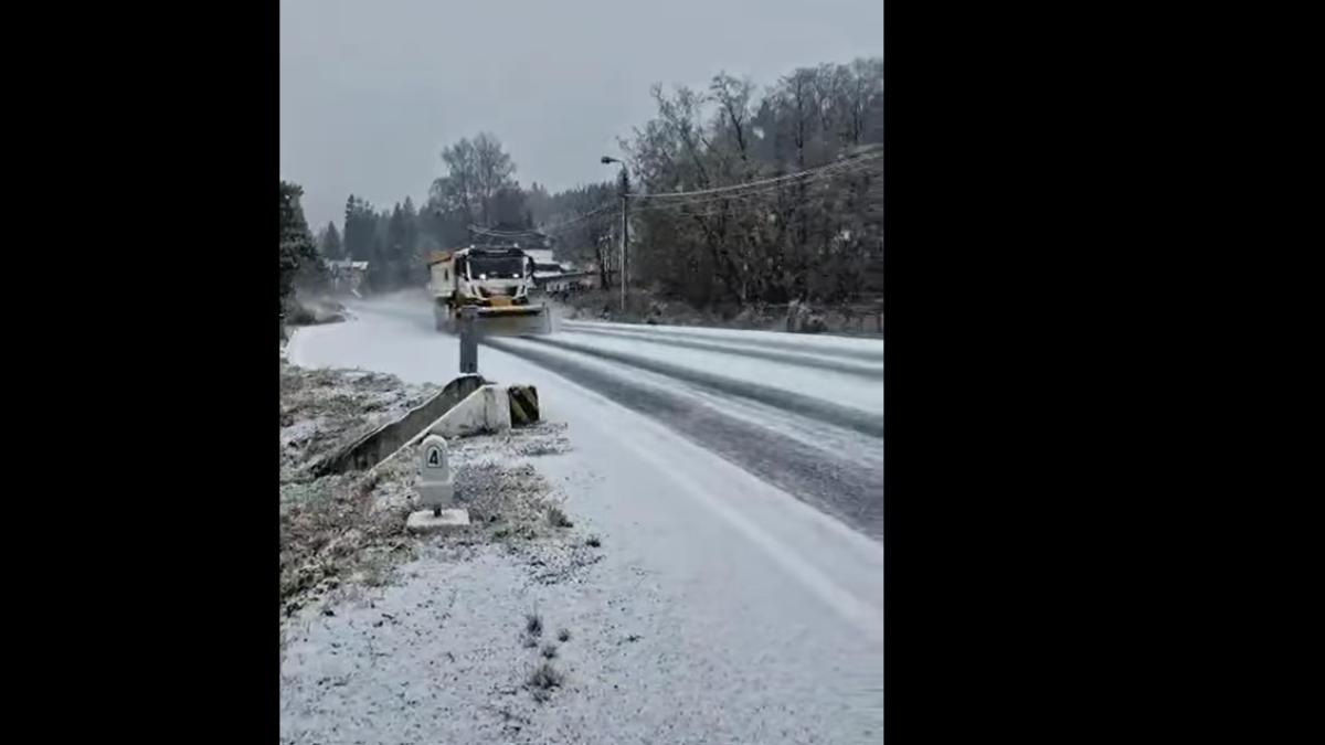 deszapezire_drdp_brasov_70596000