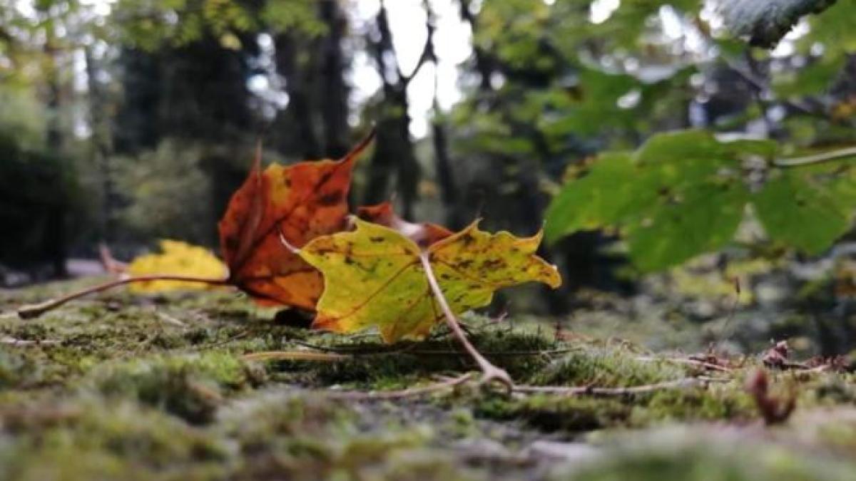 cum-va-fi-vremea-la-acest-final-de-saptamana--meteorologii-vin-cu-precizari-de-ultima-ora_64291200