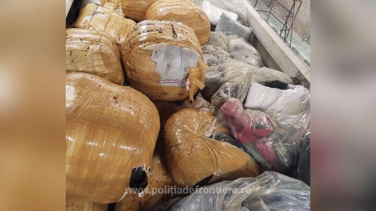 haine-contrafacute--descoperite-la-constanta-intr-un-transport-de-floarea-soarelui-1_73351600