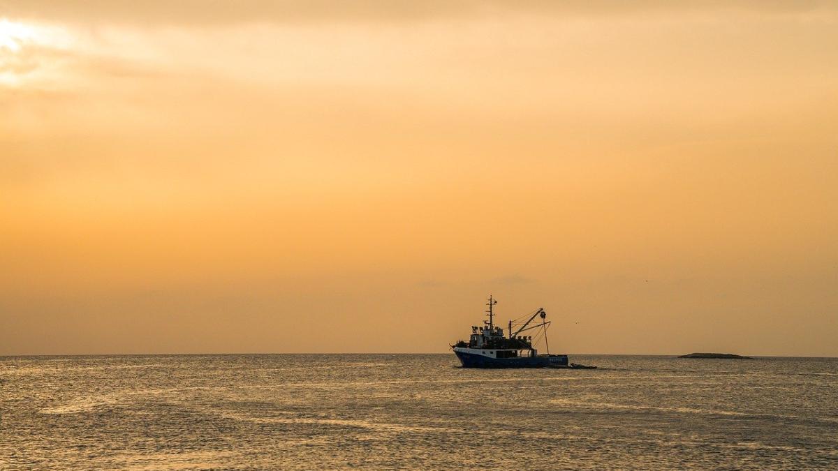 pescar-submarin_41662800