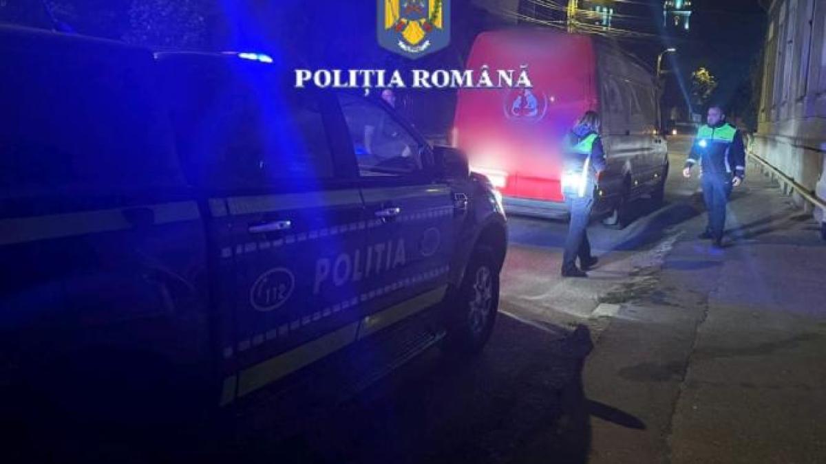 asociatie-pentru-protectia-animalelor-din-hunedoara--activitati-ilegale-in-franta_50558700