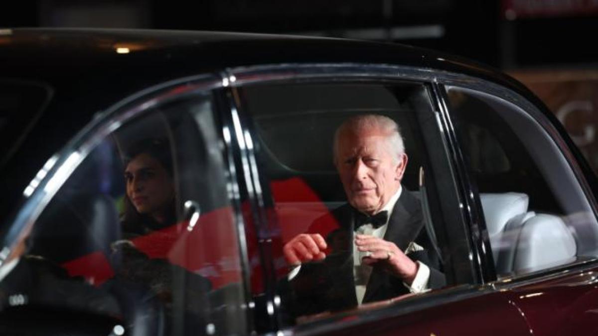 regele-charles-regret_40947400