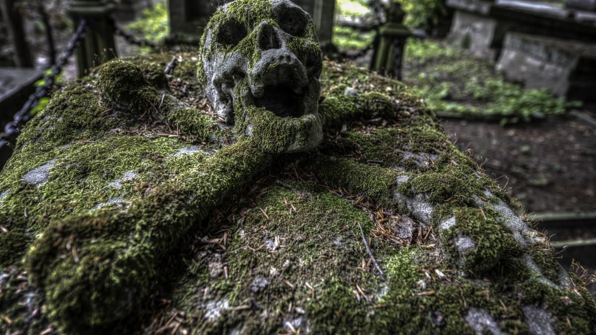 misterul-vampirului-cu-lacat-inmormantat-in-polonia_26534500