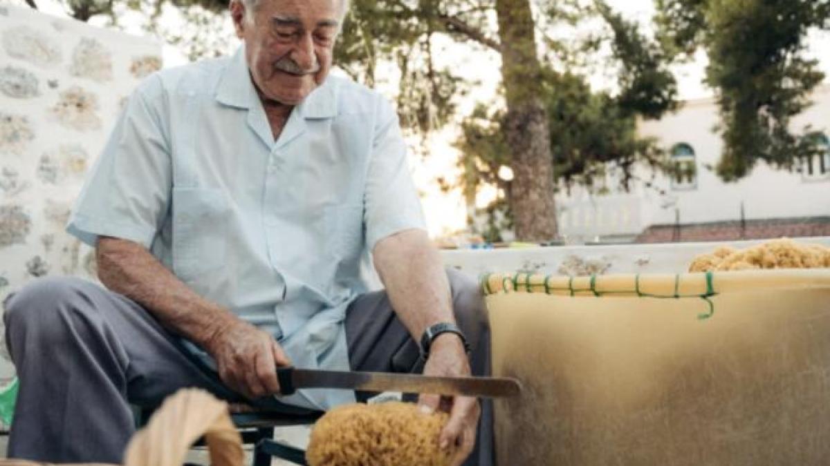 yiannis-magriplis_29337200